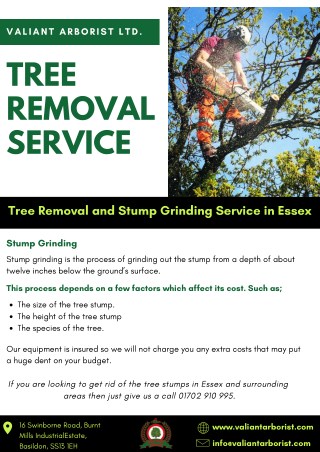 Tree removal service | Valiant Arborist Ltd. essex