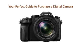 Your Perfect Guide to Purchase a Digital Camera