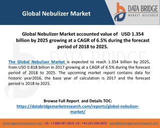 Global Nebulizer Market– Industry Trends and Forecast to 2025