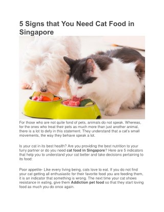 5 Signs that You Need Cat Food in Singapore