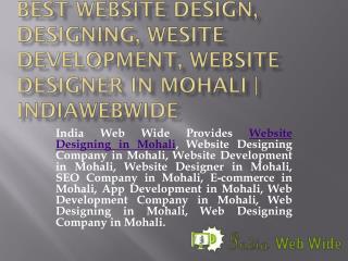 Website Designing & Design in Mohali, Website Development in Mohali, Website Designer | IndiaWebWide