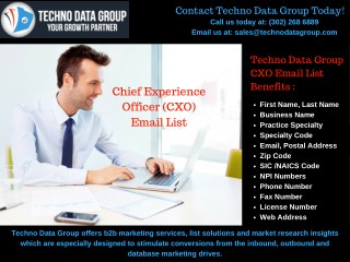 Chief Experience Officer Email Lists | CXO Mailing Lists | CXO Email Database