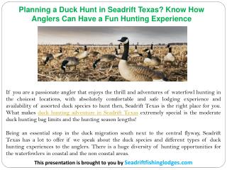 Planning a Duck Hunt in Seadrift Texas? Know How Anglers Can Have a Fun Hunting Experience