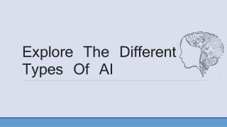 Explore The Different Types Of AI