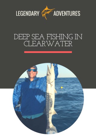 Deep Sea Fishing In Clearwater