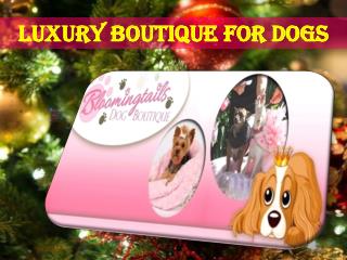 Luxury Boutique for Dogs || Christmas Special Sale