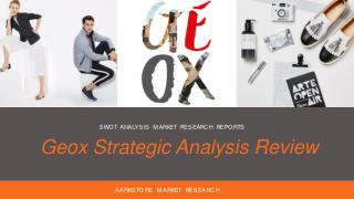 Geox Strategic Analysis Review Market Research Report
