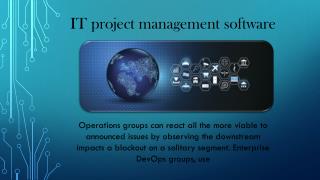 IT project management software