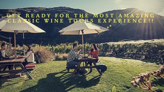 Get ready for the most amazing Classic wine tours experience!!