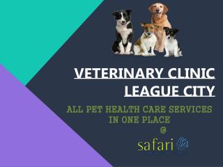 All Pet Health Care Services in One Place - Safari Vet, League City, TX