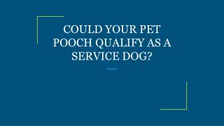 COULD YOUR PET POOCH QUALIFY AS A SERVICE DOG?