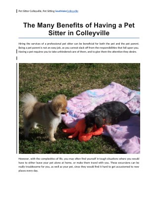 The Many Benefits of Having a Pet Sitter in Colleyville