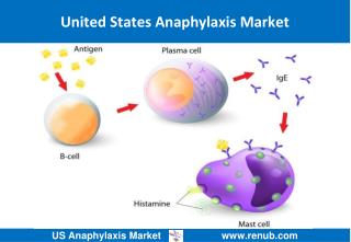 US Anaphylaxis Market Forecast