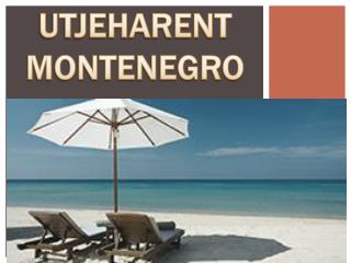 Montenegro apartment for rent