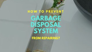 Garbage Disposal Repair