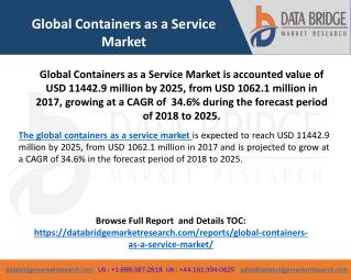 Global Containers as a Service Market Survey Till 2025-Regional Analysis By Industry Expert’s