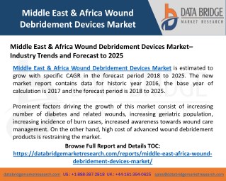 Middle East & Africa Wound Debridement Devices Research Report