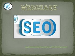 seo services in Ottawa