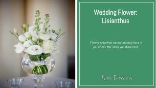 Create the Best Lisianthus Flower Arrangements