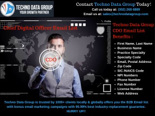 CDO Email Lists | CDO Mailing Lists | CDO Email Database