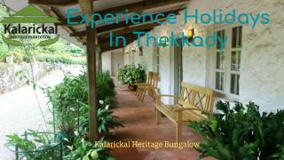 Experience Holidays in Thekkady