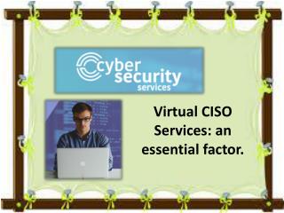 Cyber security come back with latest Virtual CISO Services