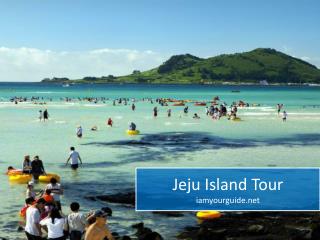 Jeju Island Tour - Iamyourguide