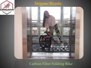 Carbon Fiber Folding Bike