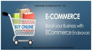 Ecommerce Website Software Development Company in Varanasi