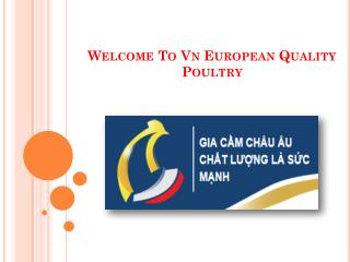 gia cầm ngon vị - vn.european-quality-poultry.eu