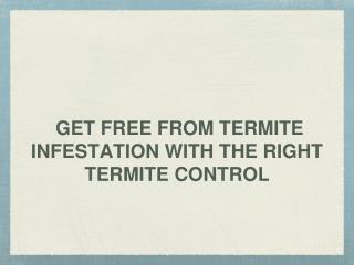 Termite Infestation and Signs of Termite Infestation