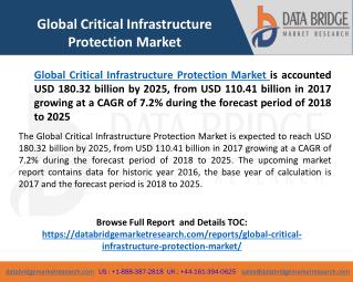 Global Critical Infrastructure Protection Market– Industry Trends and Forecast to 2025