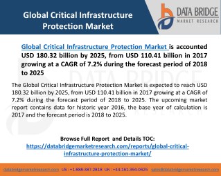 Global Critical Infrastructure Protection Market– Industry Trends and Forecast to 2025