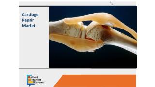 Global Cartilage Repair Market