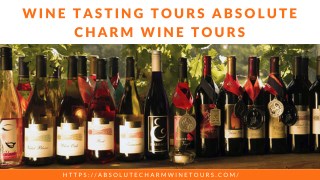 Best Wine Tasting Tours