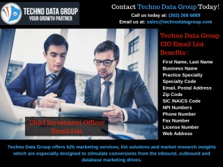 CIO Email Lists | CIO Mailing Lists | CIO Email Database