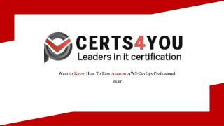 AWS-DevOps-Professional Exam