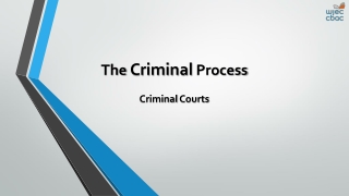 The Criminal Process Criminal Courts