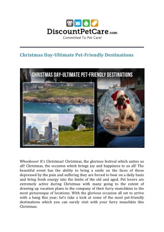 Christmas Day-Ultimate Pet-Friendly Destinations