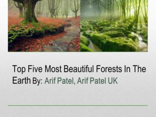 Know Most Beautiful Forests by Arif Patel, Arif Patel UK