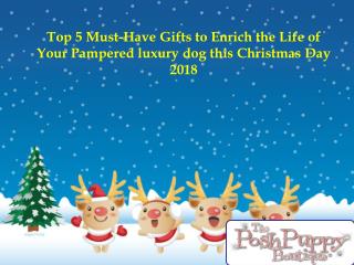 Top 5 must have gifts to enrich the life of your pampered luxury dog this Christmas day 2018