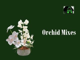 Orchid Mixes at Greenbarnorchid.com