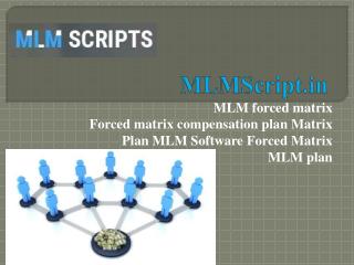 MLM forced matrix - Forced matrix compensation plan