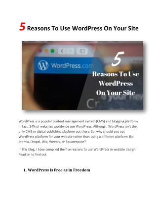 5 Reasons To Use WordPress On Your Site