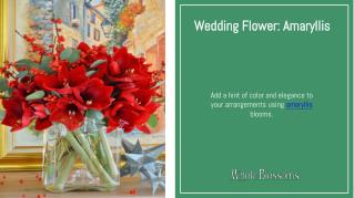 Make Eye-Catching and Stunning Wedding Arrangements with Amaryllis Flowers