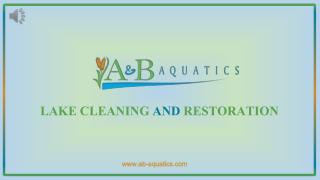 Lake Cleaning and Restoration - A & B Aquatics