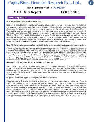 Mcx daily report 13 dec