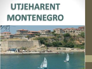 Montenegro apartment for rent