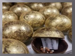HOLIDAY SEASONAL CHOCOLATES AND TRUFFLE COLLECTION