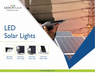 Best Outdoor LED Solar Lights - High Quality - USA